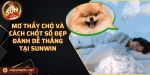 Mơ thấy chó